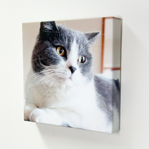 ファブリックパネル